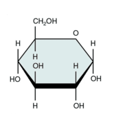 glucose monomer