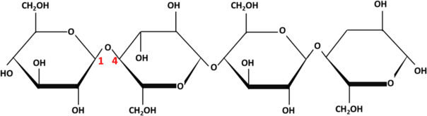 glucose polymer