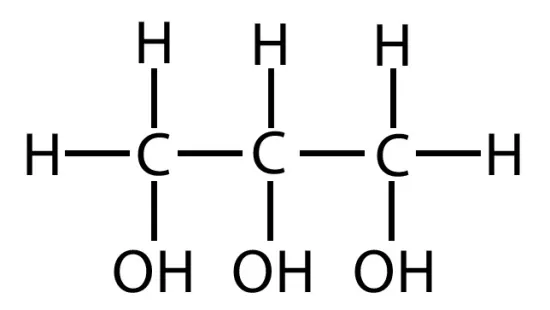 glycerol monomer