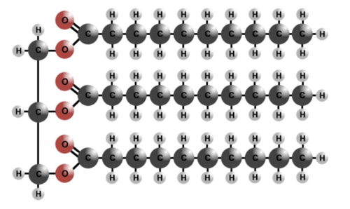 lipid polymer